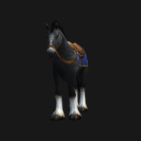 The Black Stallion mount